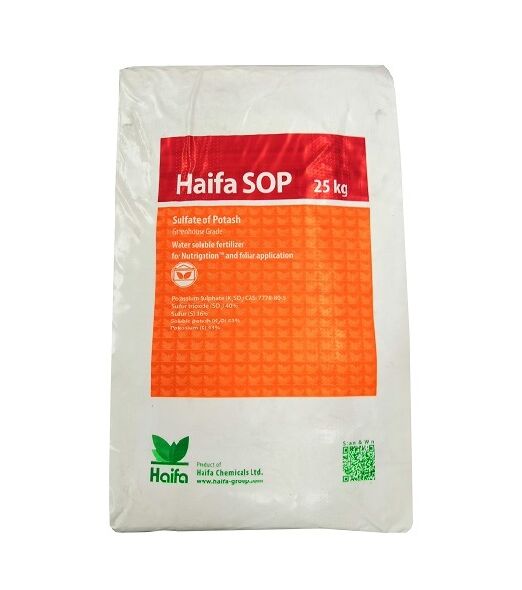 confezione di haifa sop gg