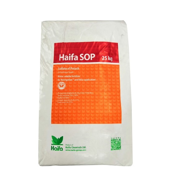confezione di haifa sop gg