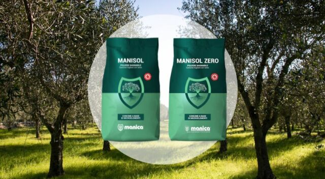 manisol e manisol zero