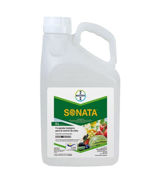 Sonata Bayer 5 litri