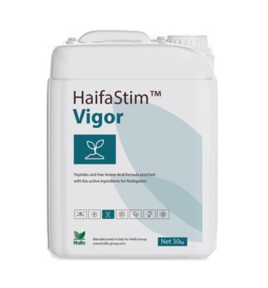 Confezione di HaifaStim Vigor