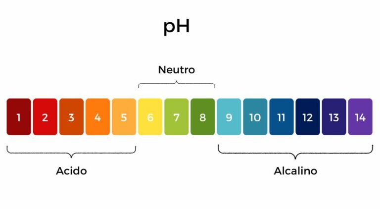 Scala del pH