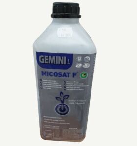 gemini micosat f