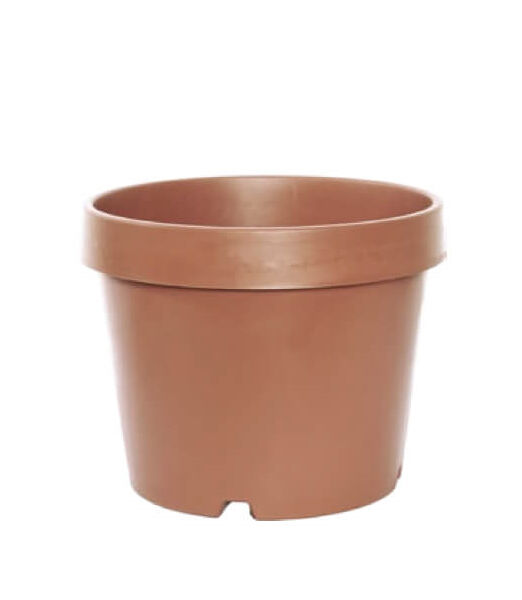 Vaso Italia colore terracotta