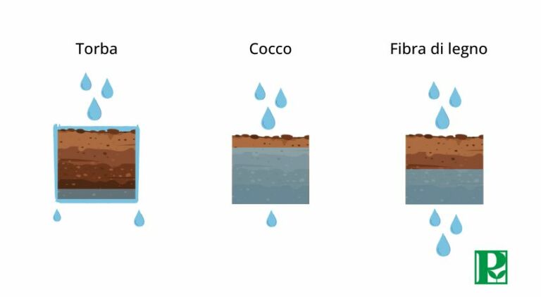 Confronto idratazione tra torba, cocco e fibra di legno