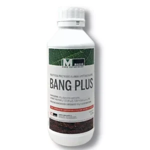 bang-plus-insetticida-cipermetrina-piretroide