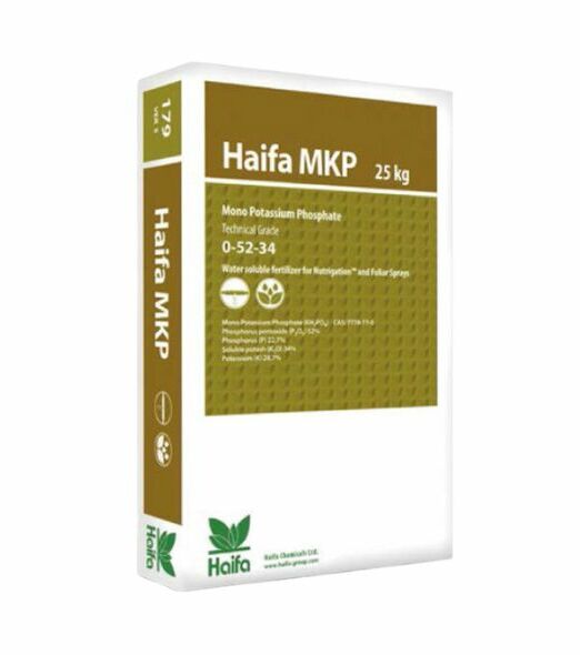 Confezione di Haifa MKP
