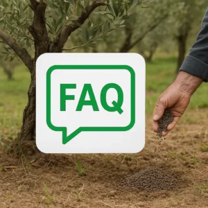 Immagine per Faq