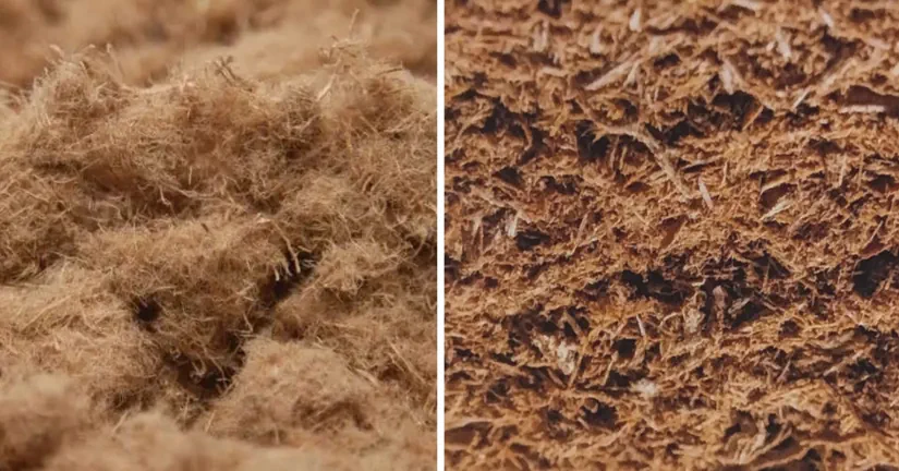 Articolo per vivaio sulla fibra di legno: il confronto tra due prodotti hydrafiber e Extralignum 100