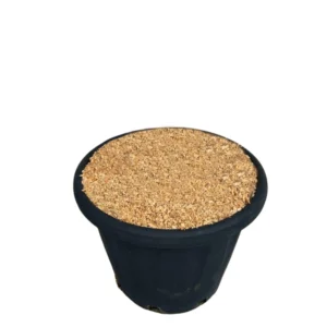 Microcippato ambiente2