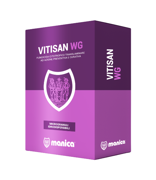 Vitisan - Manica