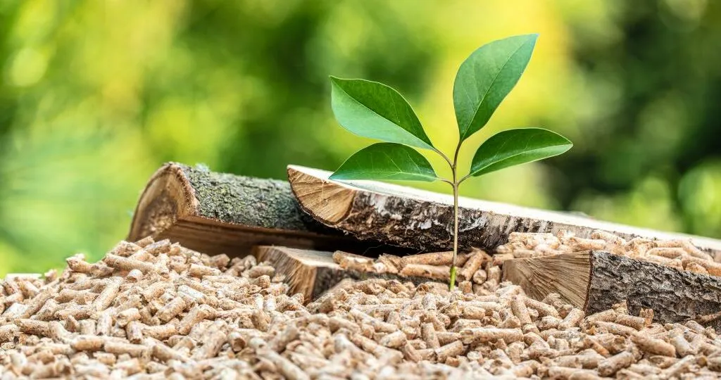 wood pellets with leaf and tree trunks.