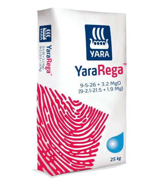 Yara Rega