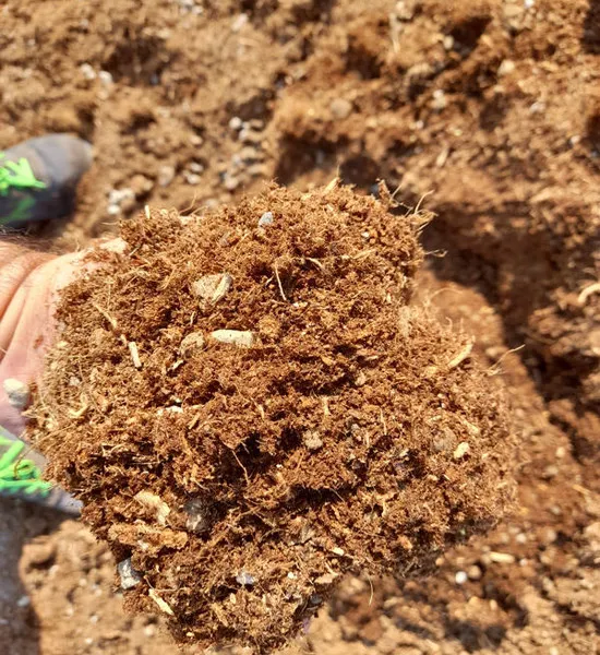 Terriccio composto da pomice e fibra di legno e cocco