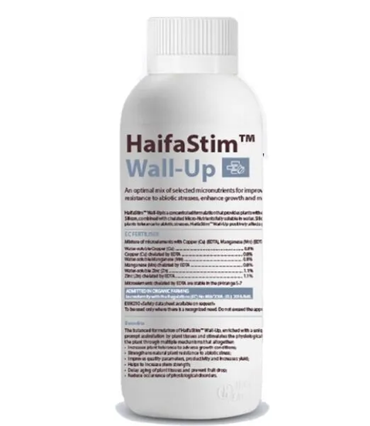 Haifa Stim Wall Up