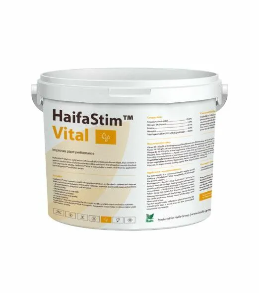 HaifaStim Vital