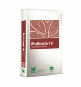 multicote 16 mesi haifa