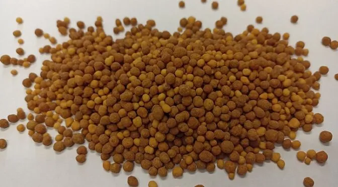 Granuli di Multicote PREMIER