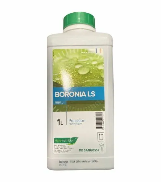 Confezione di Boronia LS De Sangosse