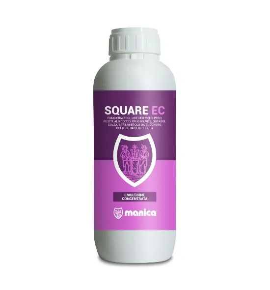confezione di square ec