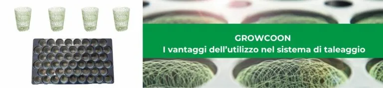 Growcoon i vantaggi dell'utilizzo nel sistema di taleggio