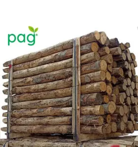 pali-di-castagno linea Pag