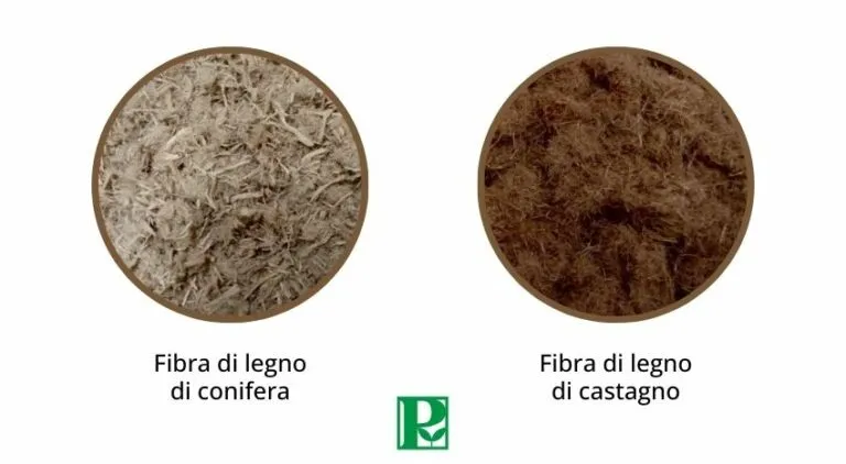 Confronto tra fibra di legno di conifere e di castagno