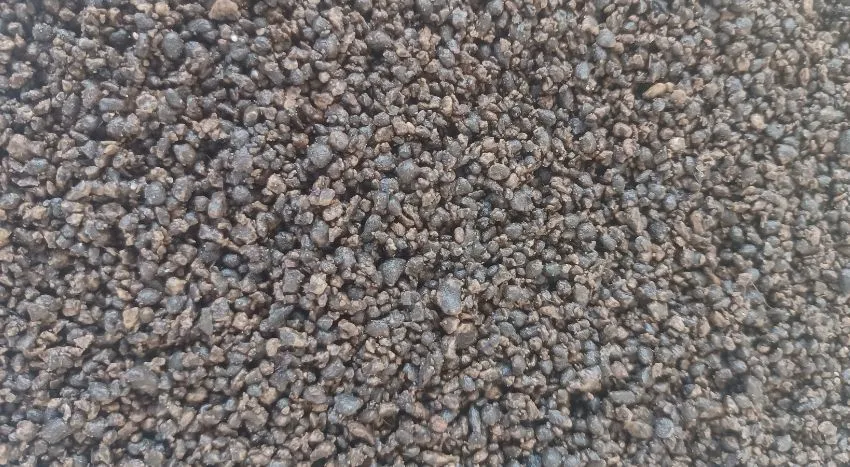 black zeo dettaglio
