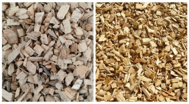 Cippato di conifera e cippato di faggio