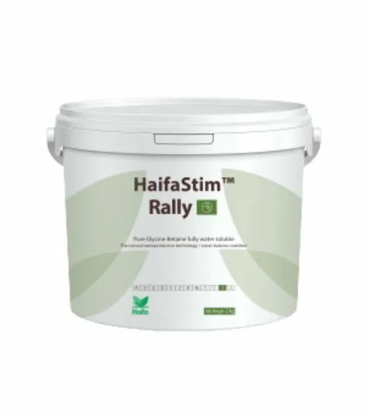 Confezione di HaifaStim Rally