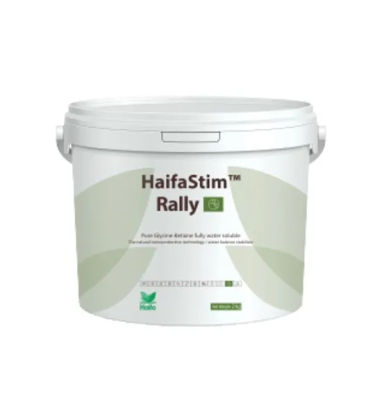 Confezione di HaifaStim Rally