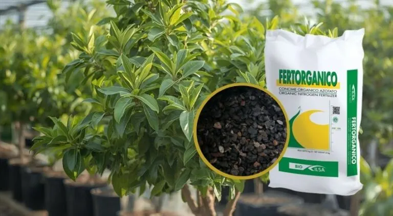 Fertorganico concime azotato