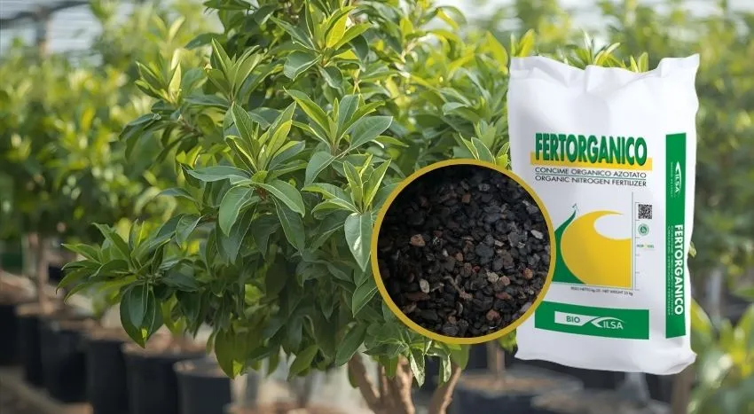 Fertorganico concime azotato