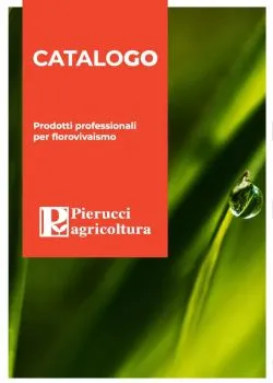 Catalogo online